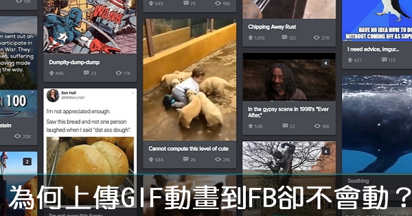 【FB動畫】為何上傳GIF動畫到FB卻不會動？